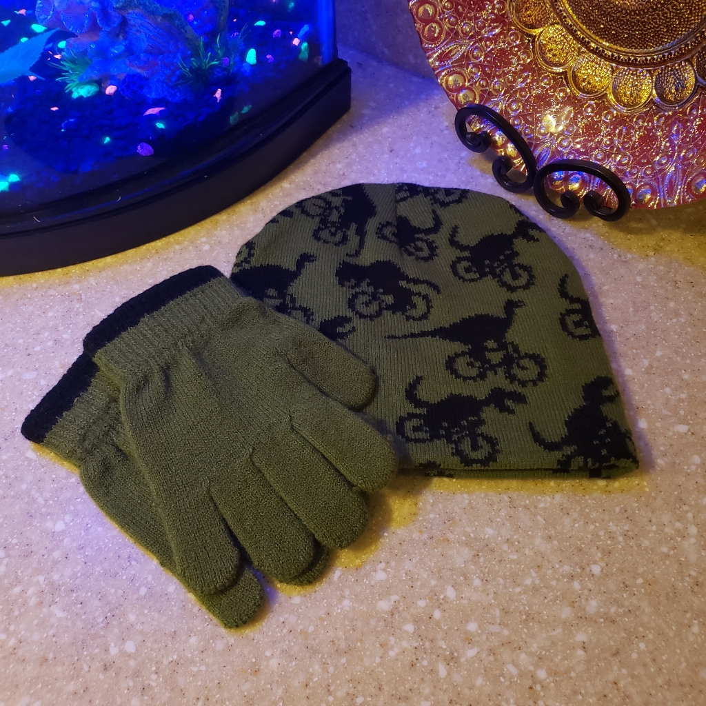 Hat (No Gloves)